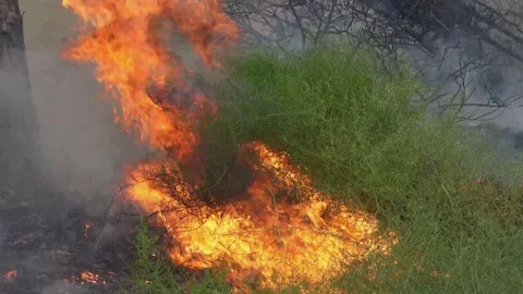 A stunning veld fire in a field in between a suburb and a railway Stock Footage 253807266
