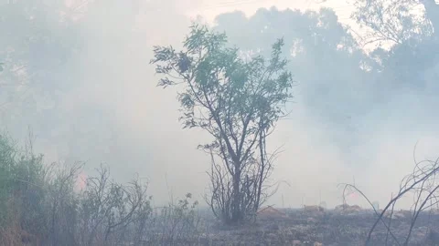 A stunning veld fire in a field in between a suburb and a railway Stock Footage 253807274