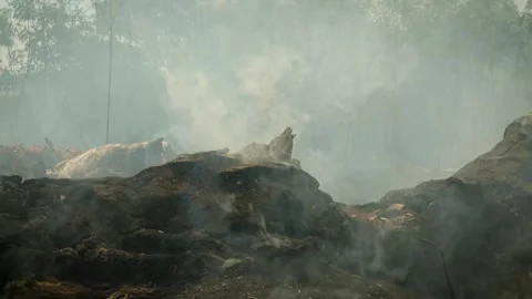 A stunning veld fire in a field in between a suburb and a railway Stock Footage 253807328