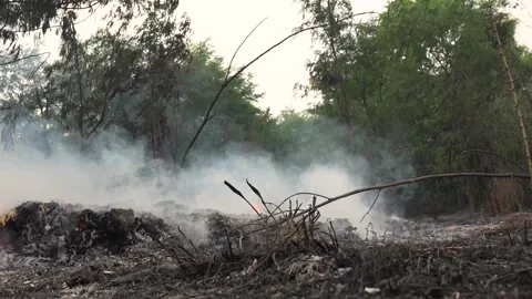 A stunning veld fire in a field in between a suburb and a railway Stock Footage 253807329