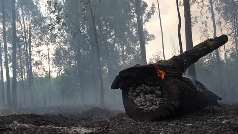 A stunning veld fire in a field in between a suburb and a railway Stock Footage 253807336