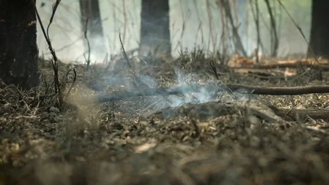 A stunning veld fire in a field in between a suburb and a railway Stock Footage 253807360