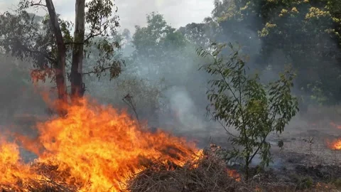 A stunning veld fire in a field in between a suburb and a railway Stock Footage 253807393