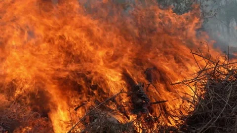 A stunning veld fire in a field in between a suburb and a railway Stock Footage 253807398