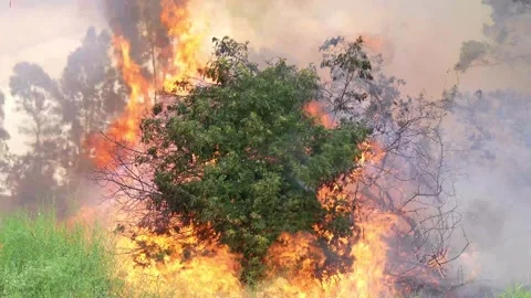 A stunning veld fire in a field in between a suburb and a railway Stock Footage 253807402