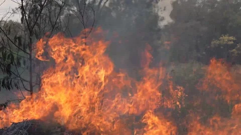 A stunning veld fire in a field in between a suburb and a railway Stock Footage 253807430