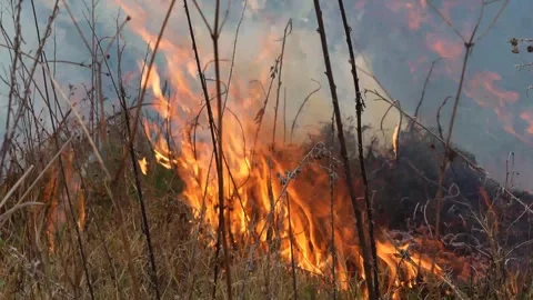 A stunning veld fire in a field in between a suburb and a railway Stock Footage 253807433