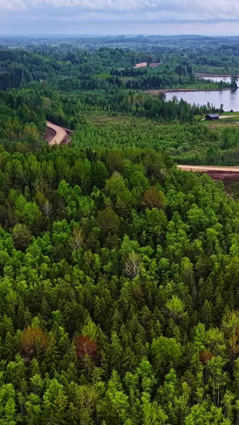 Stunning vertical drone shot over a wind farm construction site in Latvia Stock Footage 336622777