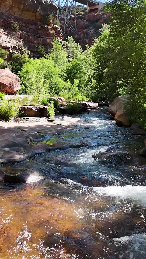 Stunning Vertical View Of Free Flowing Oak Creek In Oak Creek Canyon Stock Footage 275561516