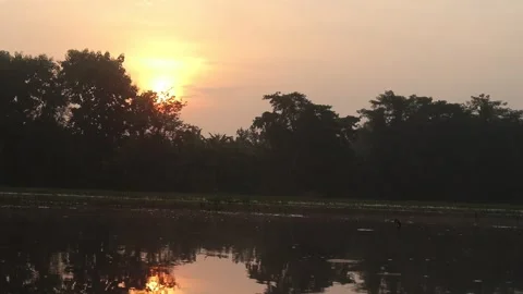 A stunning vibrant sunset Stock Footage 317256992