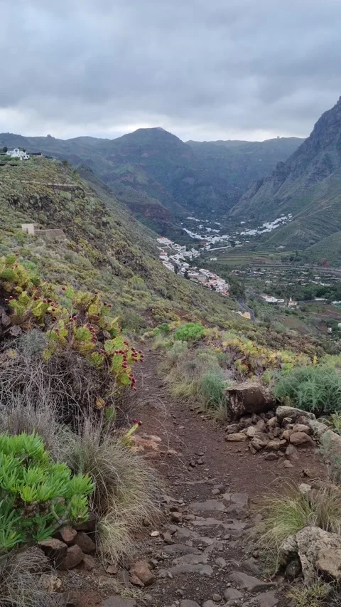 A stunning view of the Agate and Lomo de San Pedro areas in Tenerife Stock Footage 307630369