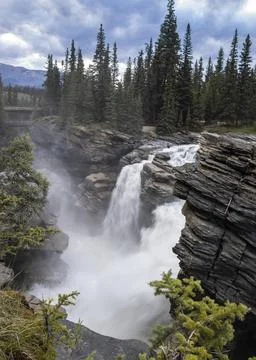 Stunning view of Athabasca falls Stock Photos