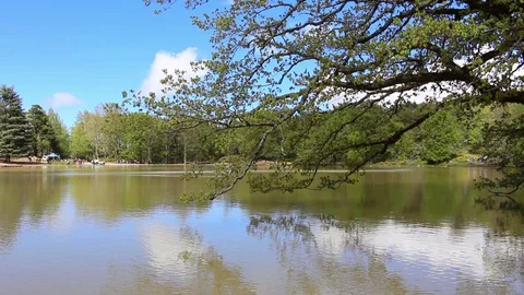 Stunning view of a black lake Stock Footage 129530254