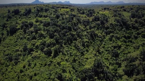 Stunning view of Black River Gorges National Park in Mauritius Stock Footage 310871286