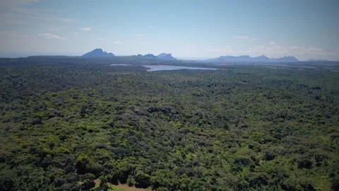 Stunning view of Black River Gorges National Park in Mauritius Stock Footage 310871313