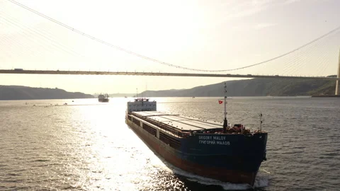 A stunning view of a cargo ship gracefully passing Stock Footage 318854872