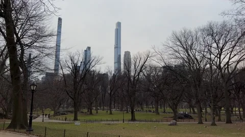Stunning view of Central Park accompanied by impressive urban skyline backdrop Vídeo Stock 291510422
