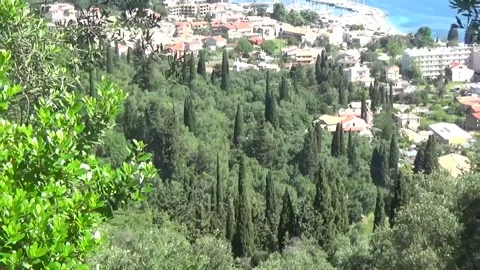 Stunning view of the coast of Corfu Stock-Footage 309981678