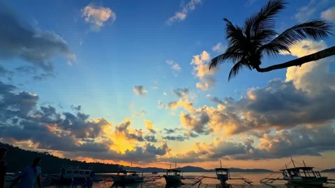 A stunning view of coconut trees silhouetted against the sea at sunset in Port Vídeo Stock 347285201