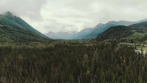 Stunning view of dense forests and mountains in the wilderness Video stock 320319803