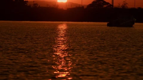 Stunning view of golden path of setting sun on surface of water with gentle Video stock 314495364