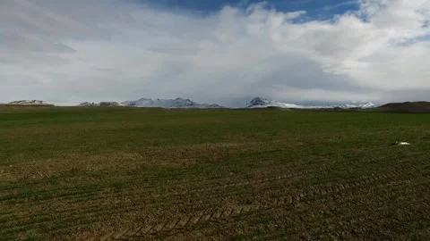 A stunning view of golden wheat fields cultivated with dry, stock footage. Stock Footage 304934825