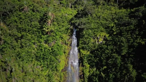 Stunning view of hidden waterfall at Black River Gorges National Park, Mauritius Stock Footage 310870927