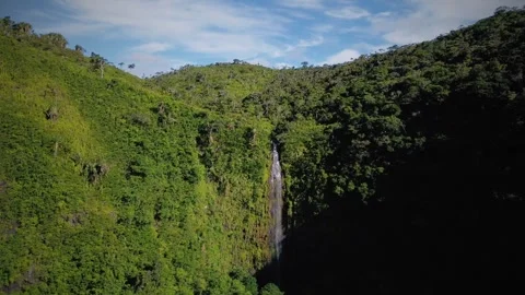 Stunning view of hidden waterfall at Black River Gorges National Park, Mauritius Stock Footage 310870938