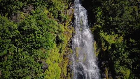 Stunning view of hidden waterfall at Black River Gorges National Park, Mauritius Stock Footage 310870975