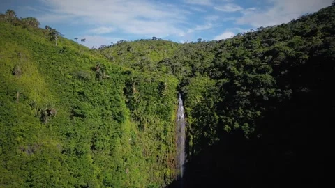 Stunning view of hidden waterfall at Black River Gorges National Park, Mauritius Stock Footage 310871125