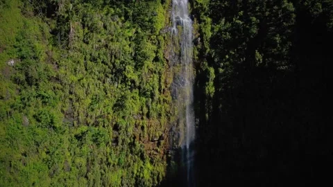 Stunning view of hidden waterfall at Black River Gorges National Park, Mauritius Stock Footage 310871154