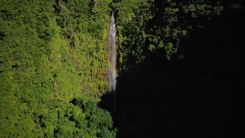 Stunning view of hidden waterfall at Black River Gorges National Park, Mauritius Stock Footage 310871160