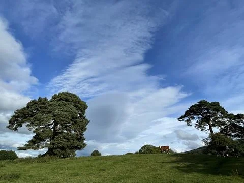 Stunning view from the hill Stock Photos