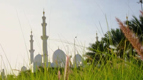 Stunning view of iconic Sheikh Zayed Mosque in Abu Dhabi. Stock Footage 312570510