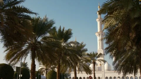 Stunning view of iconic Sheikh Zayed Mosque in Abu Dhabi. Stock Footage 312814508