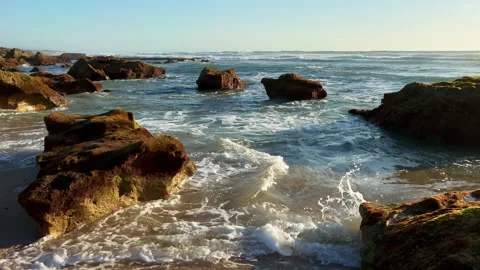 Stunning View of Ilha do Pessegueiro Beach at sunset 動画素材 319846581