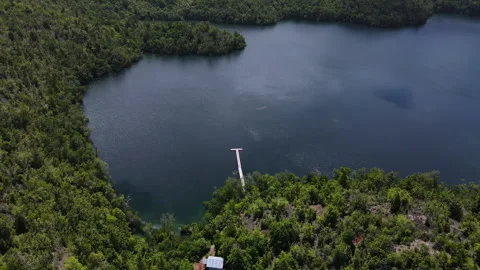 A Stunning View of Lake Matano, Surrounded by Lush Green Forest and a Wooden Stock Footage 295171224