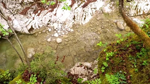 Stunning view of a rocky stream Stock-Footage 308643740