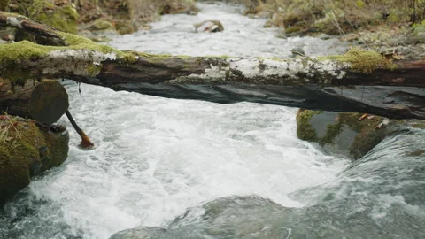 Stunning view of small natural waterfall flowing into a water stream in forest Stock Footage 256247047
