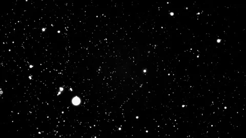 Stunning view of a starry sky, illuminating the dark night Stock Footage 308165177