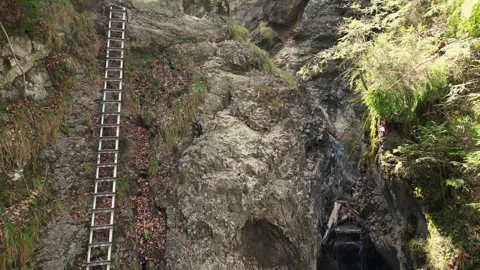 Stunning view of the Sucha Bela gorge in the Slovak Paradise National Park Vídeo Stock 334568574