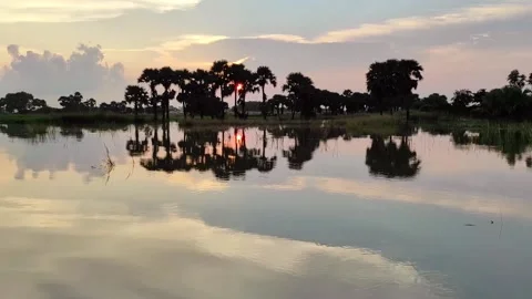 Stunning view of the sunset among the trees on the riverbank Stock Footage 163223039