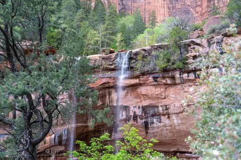 A stunning view of the waterfall at the Lower Emerald Pool in Zion NP, Utah. Stock Photos
