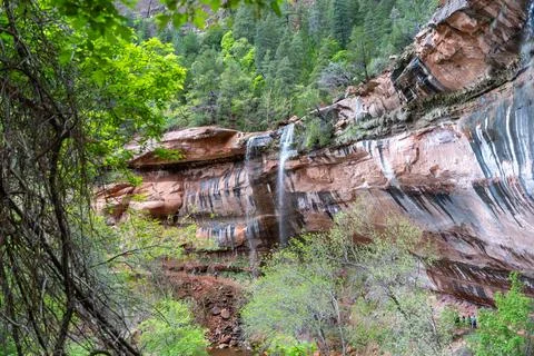 A stunning view of the waterfall at the Lower Emerald Pool in Zion NP, Utah. Stock Photos
