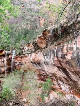 A stunning view of the waterfall at the Lower Emerald Pool in Zion NP, Utah. Stock Photos