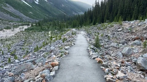 Stunning views of an empty hiking trail valley in Jasper National Park. Video stock 202295137