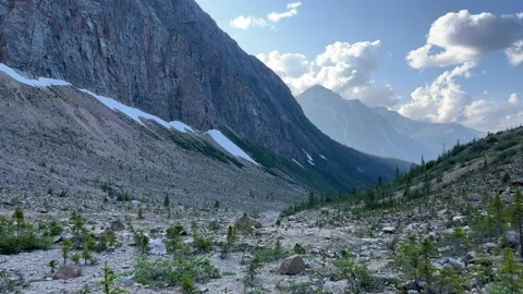Stunning views of an empty hiking trail valley in Jasper National Park. Stock Footage 202295149