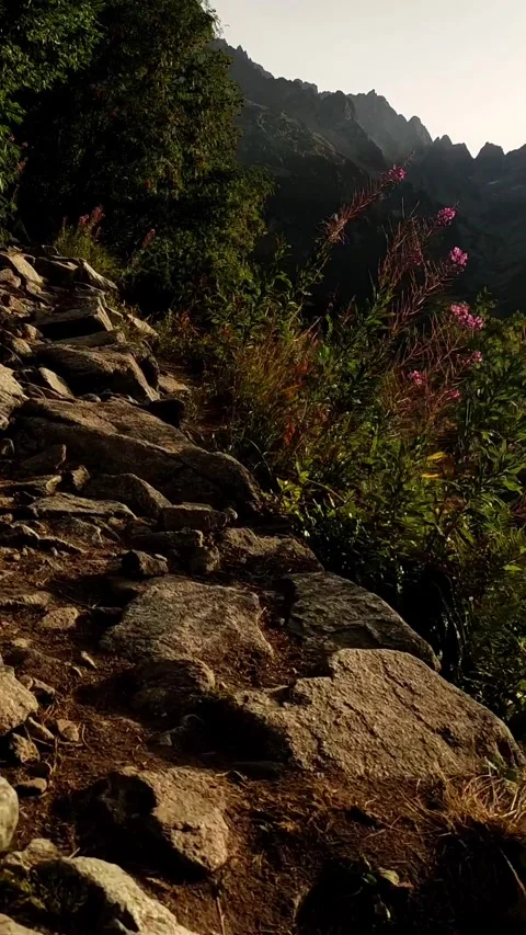 Stunning views of the High Tatras mountain range from the Rysy trail Stock Footage 277657401