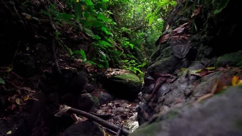 Stunning views, water flowing through a narrow canyon between the cliff rocks Stock Footage 145355958
