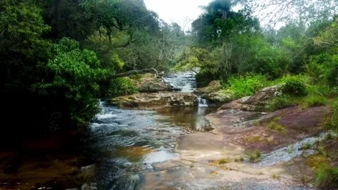 Stunning Virgin Stream With Small Waterfalls in Heart Of Nature Paraguay Stock Footage 251525926